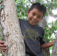 boy in tree